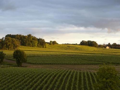 Chateau La Rose Perriere Lussac  Exterior photo